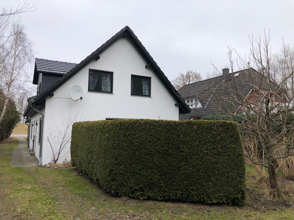 Seestr 75 A Haus A Links ツィングシュト エクステリア 写真